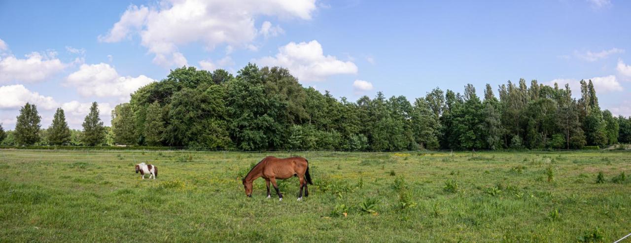 De Lammersdamhoeve Wingene Dış mekan fotoğraf